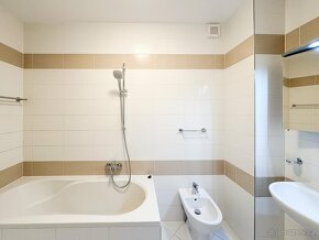 Pronájem bytu 2+1 + hala, 94m2, 2x balkon,  4.. patro s výta - 20