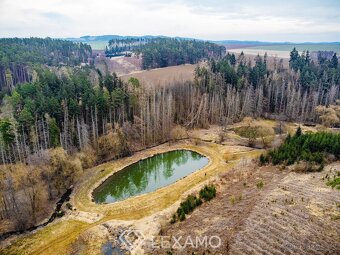 Prodej rybníků, 11 304 m2 - Mladoňovice, ev.č. 00239 - 20