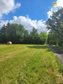 Prodej rodinného domu 4kk se zahradou 2380m2 - Velký Chlumec - 20