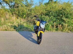 FZ1 n - 2