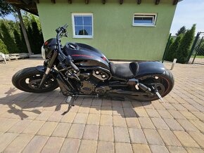 Harley Davidson vrscdx V Rod special - 2