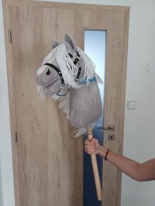 Hobby Horse - 2