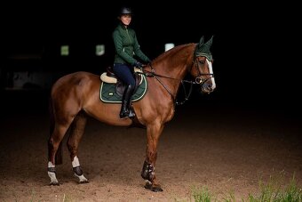 SADA Equestrian Stockholm Forest Green VS - 2