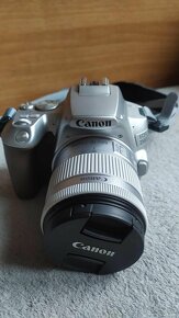 Canon EOS 250D - 2