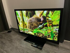 Plazmová televize plazma LG 42PJ350 107cm - 2