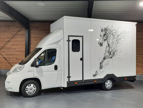 Fiat Ducato - prepravník koní, prepravník na kone - 2