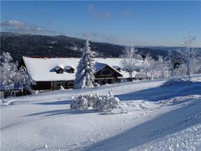 Ubytování: pronájem apartmánu Šumava / Bavorský les - 2