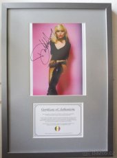 Akcia - Alice In Chains; Blondie + COA - 2