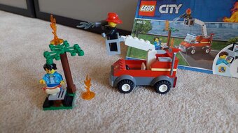 Lego City 60212 Hasiči na grilování - 2