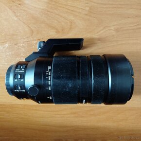 Panasonic Leica DG 100-400mm f4.0-6.3 ASPH.m43 - 2