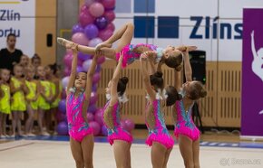 Dresy na moderni gymnastiku - 2