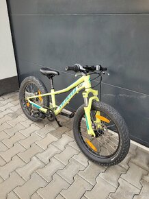 Specialized RIPROCK 20 - 2