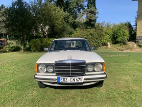 Mercedes Benz W123 - 2