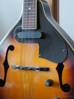 Mandolína Fender - 2