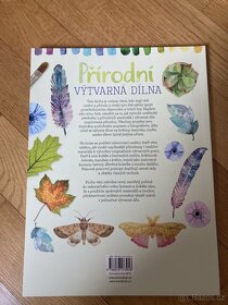 Nova kniha - Prirodni vytvarna dilna - 2