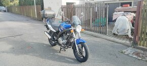 SUZUKI GS 500 E   r.v. 2008 - 2