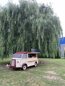 FOODTRUCK letní bar Citroen HY - 2