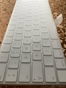 Apple Magic Keyboard/Apple klávesnice bílá - 2