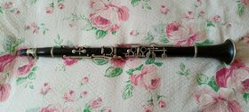 Saxofon tenor a klarinet - 2