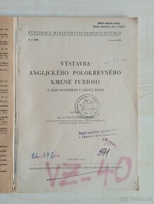 Výstavba anglického polokrevného kmene Furioso - 2