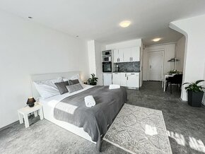 Dům s 5 apartmány v centrum města - 2