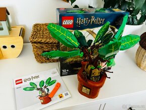 Lego Harry Potter 76433 Mandragora - 2