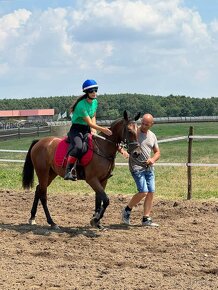 Šport pony x QH - 2