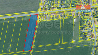 Prodej pole, 6153 m², Kralice na Hané - 2