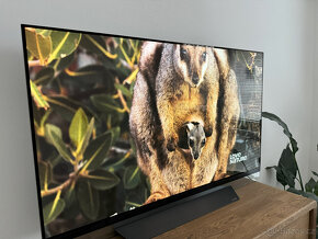 OLED televize 55" LG OLED55E8PLA - 2