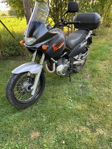 Suzuki xf 650 Freewind - 2