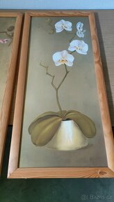 Sada obrazů - orchideje - 2
