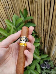 Cohiba Robustos - 2