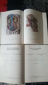 Atlas anatomie člověka - II. a III. díl (Kiss) - 2