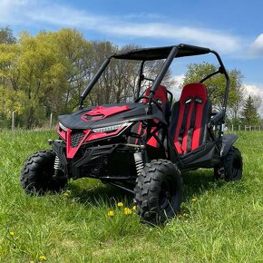 Buggy CHEETAH 200cc - 2