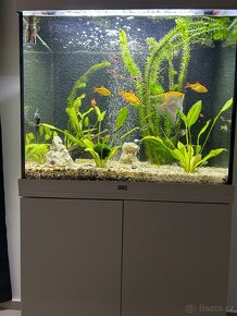 Akvarium - 2