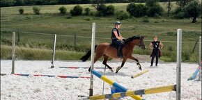 Sportovni pony klisna - 2