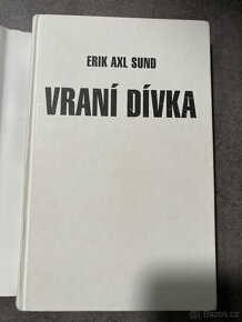 Vraní dívka - 2