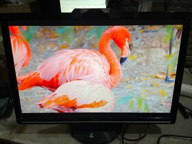 ASUS VK266H - LCD monitor 25.5" - 2