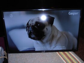 (((   Led TV ECG 80 cm  ))) - 2