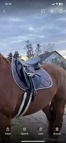 Sada QHP Equestrian dream iron grey - 2