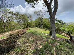 LOT 6 Bodden Bight Estate, Roatan - 2