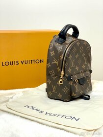 Louis Vuitton Batoh Palm Springs Mini - 2