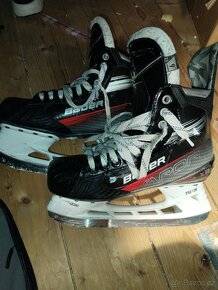 Brusle Bauer Vapor X3 senior - 2