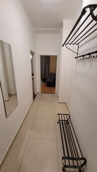 Pronájem bytu 1+kk 40 m² Táborská, Praha - Nusle - 2