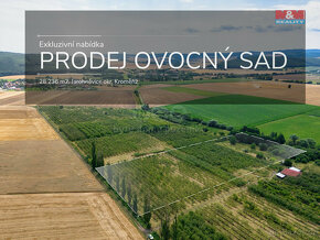 Prodej ovocného sadu, 28236 m², Jarohněvice - 2