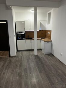 Pronájem světlého bytu 2+kk, 51 m², Planá nad Lužnicí - 2