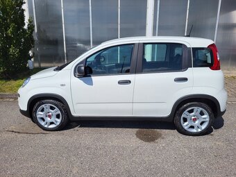 FIAT Panda 1.0 FIREFLY 70 k 51 kW - 2