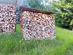 Palivové dřevo plné metry - 2