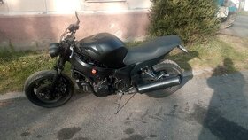 CBR 1100 xx superblacbird - 2