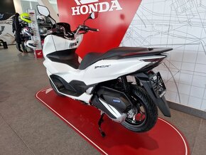 Honda PCX 2024 (možnost odpočtu DPH) - 2